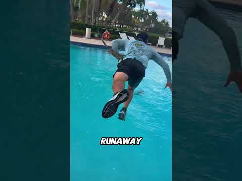 Iguana Runs Wild From Owner🦎😂