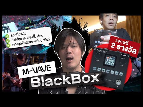 MVaveBlackboxลุยทำงานจริงทั้งเดือนไหวแค่ไหนft.@NattyGuitar