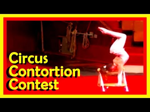 Circus And Cabaret Contortion Circus And Cabaret Contortion