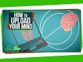 Exploring Brain Simulation and Neuroscience