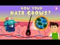 Understanding Hair Growth and Function