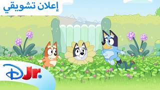 حلقات جديدة | بلووي 💙 | ديزني جونيور بالعربي