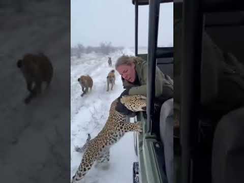 دور الاخ الاكبر في الحياة 🤔🤔 #shortvideo