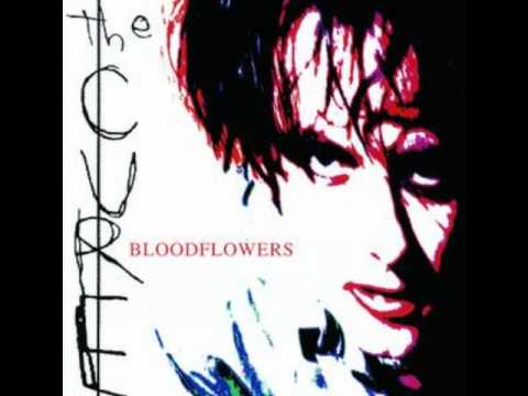 Cure - Maybe Someday