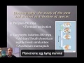 Evolutionary Evidence and Systematics Concepts