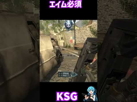みんな覚えてる？BO2 ショットガン全紹介 #コールオブデューティー #cod