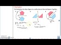 Understanding Reflections in Geometry