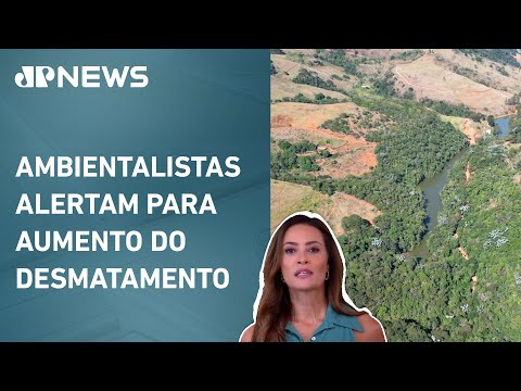 Mato Grosso aprova medida que flexibiliza proteção ambiental; Patrícia Costa comenta