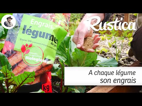 A chaque légume son engrais naturel