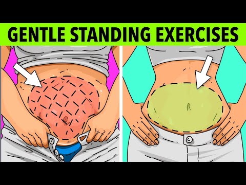 Impact-Free Belly Fat Workout: Gentle Standing Exercises for All Levels