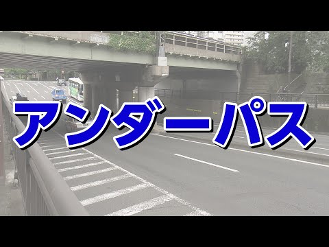 千葉豪雨では車が水没し死者も出ている　大雨時に冠水の恐れがある「アンダーパス」とは？　仙台駅近くの幹線道路も対象