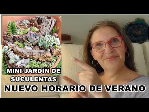 Hola MANITAS ¡¡ AVISO IMPORTANTE !!  /  Decoración con SUCULENTAS / Mini jardín