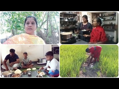 Vlog Video | அம்மா வீட்டில் ஆவணி ஞாயிறு விரத சமையல்