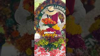 🌸El mejor plan Feria de Flores 2026 l Ya conoces a un verdadero Silletero?🌻