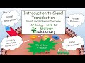 Signal Transduction and Melatonin Effects
