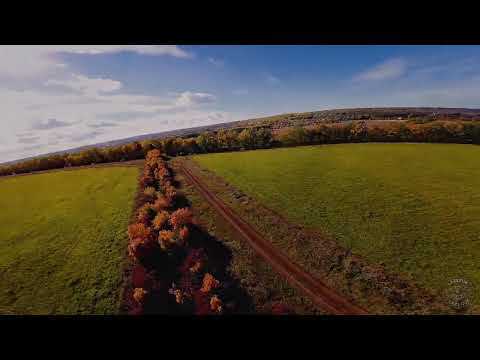 Fpv тренування осінь 4к