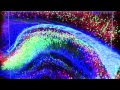 Understanding Brain Wiring and CLARITY