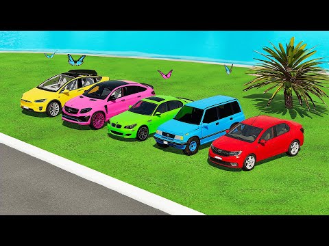 DRIVING POLICE DACIA, MERCEDES, BMW, TESLA CARS vs PORTAL TRAP!  - Farming Simulator 22