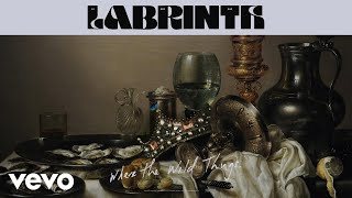 Labrinth - Where the Wild Things