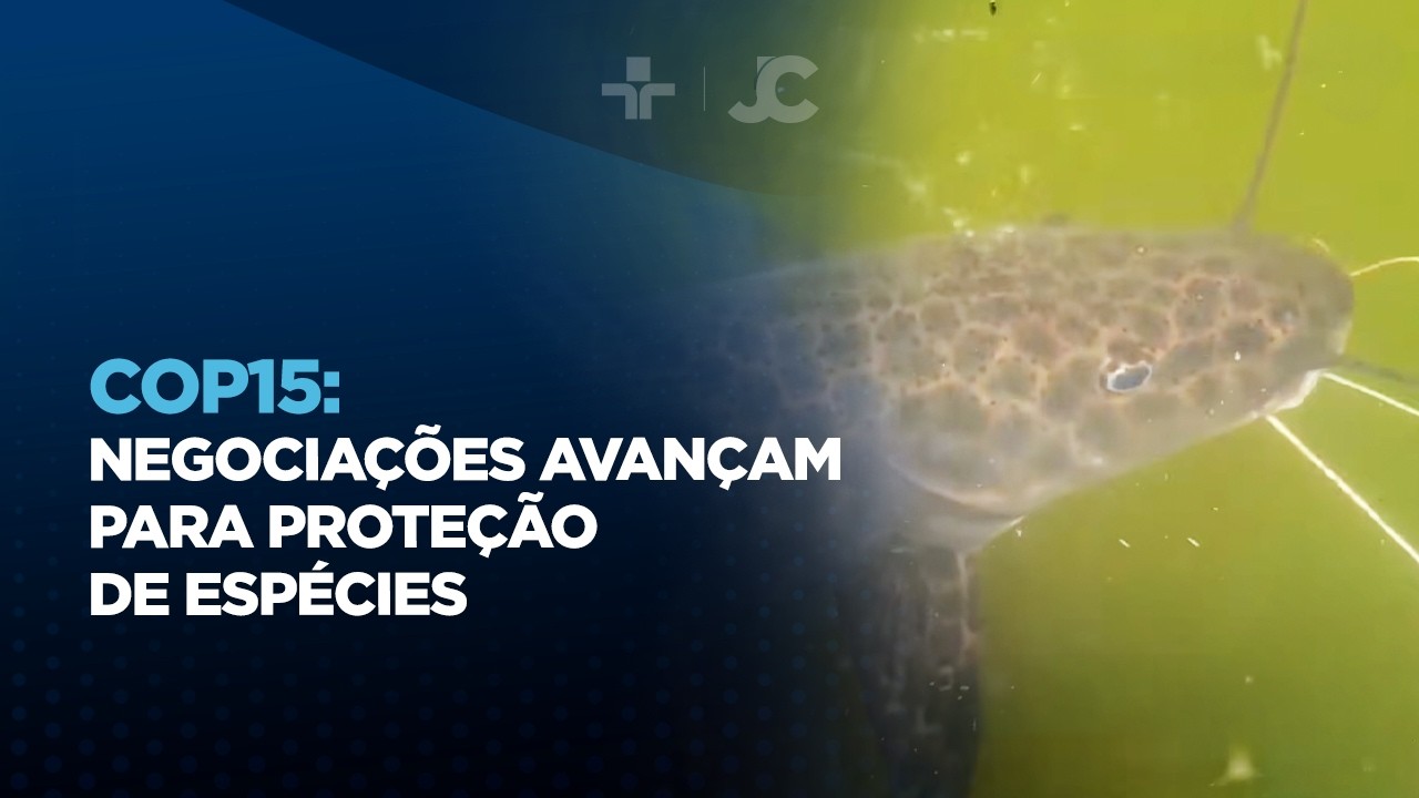 COP15 negociações avançam para proteção de espécies