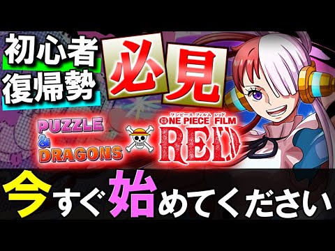 【※8月中に見てください】ONE PIECE FILM RED(ワンピース)コラボからパズドラを始める方は、絶対今月中に始めた方がいいです!!その理由とは？【パズドラ】