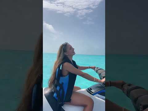 pov the cruise made it out of the group chat
