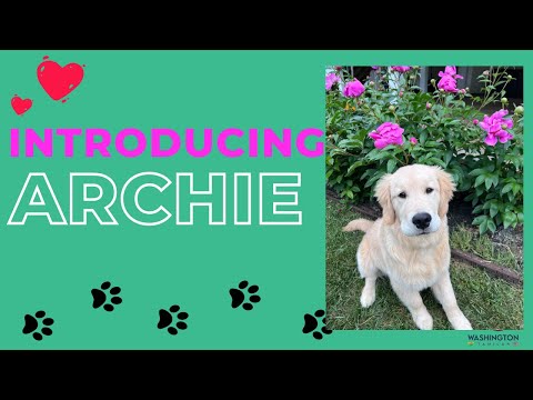 😍 🐕 INTRODUCING ARCHIE  🐕 🐕 🐕 ஆர்ச்சி   Video 🐕 🐕🐕 🔥 America-la💥USA Tamil Vlogs🇺🇸🔥#shorts