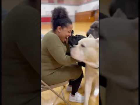 These Loyal Dogs Find Their Person - Dogs Choose Their Person Event