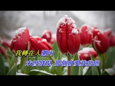 鏡花水月   梅艷芳〈卡拉伴奏版〉