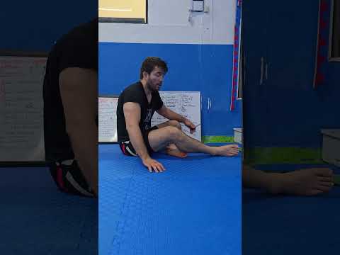 La explicación de todo el jiu jitsu, que es el jiu jitsu brasileño, entiende en 15 minutos