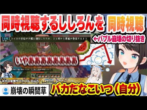 【#ホロ金策サバイバル 】スイカバブル崩壊の切り抜きを同時視聴するししろんを同時視聴するスバルｗ【大空スバル/獅白ぼたん/ホロライブ/切り抜き】