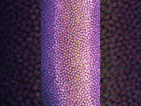 Вот как зарождается жизнь 🔬 #наука