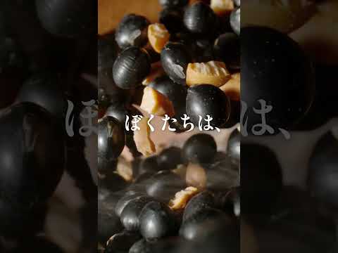 CV・山口勝平 かりっと焙煎の香ばしい黒豆茶！