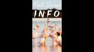 Qualche info su PORTO GIUNCO ℹ️ |  SARDEGNA #short