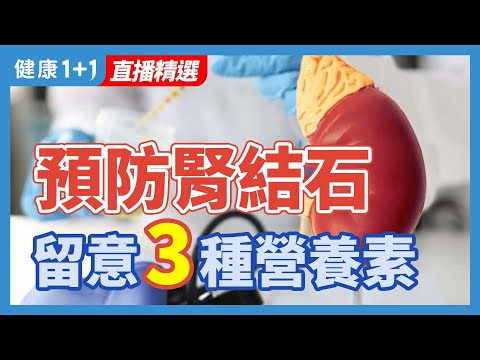 預防腎結石 | 健康1+1 · 直播精選