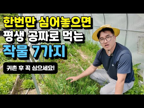 한번만 심어놓으면 평생 공짜로 먹는 작물 7가지ㅣ딱 한번 심고 평생 먹는 작물 7가지 추천ㅣ재배가 쉬운 작물 #고소득작물#봄나물#텃밭#시골#귀농귀촌#전원주택#전원생활#시골부부