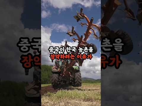 중국이 한국 농촌을 장악하려는 이유가 소름 돋아요