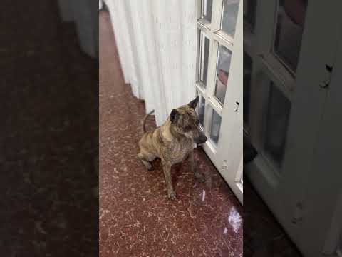 Go go gi #hellonewness