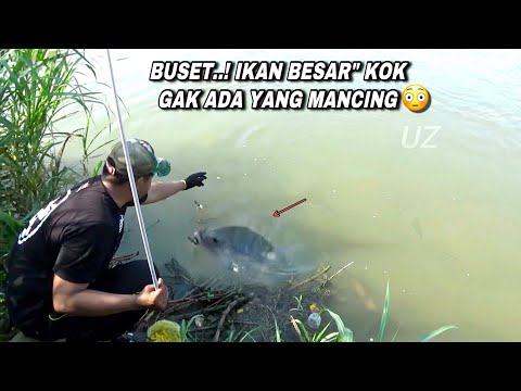 Mancing nila liaran cuma di pinggiran ikanya besar besar