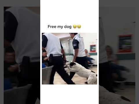 He didnโt deserve this! Free my dawg ๐ญ๐ญ #memesdaily #memes