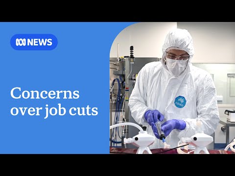 YouTube video thumbnail: Csiro Chief Defends Cuts as Scientists Warn of Impact on Future Research
