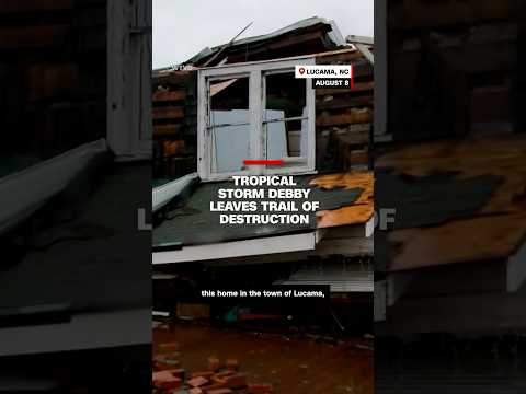 Tropical Storm Debby leaves trail of destruction