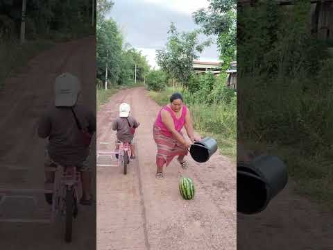 บ่อเอาแล้วเด้อแตงโม😋💸#คลิปตลก #shorts #shortvideo #funny #funnyshorts