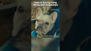 PART 01: WANDA, HADIAH DARI TAKDIR