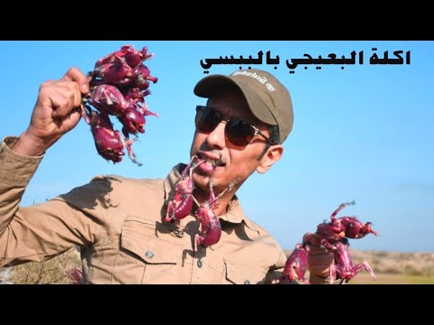 الاكلة الشعبية في جنوب العراق بعيجي بالببسي
