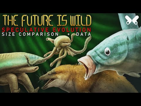 The Future is Wild: Speculative Evolution of the Future. Size comparison