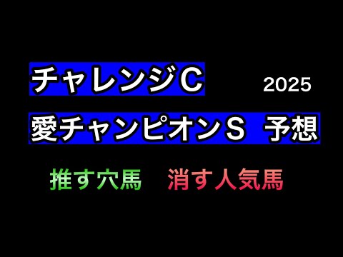 【競馬予想】 チャレンジカップ 愛チャンピオンステークス 予想 2025