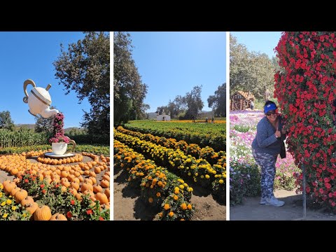 fuimos a visitar La Ruta del Maíz en Tijuana BC | Recetas de Cocina y Más