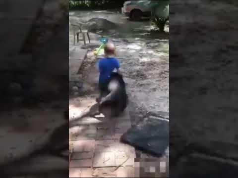 Funny Video #funny #comedy #viral #funnyshorts #youtubeshorts #youtube #shortsyoutube #shortsfeed