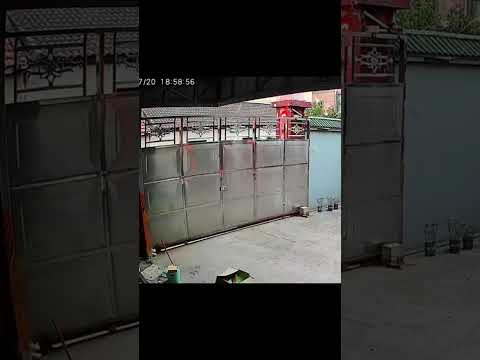 Oh omg#cat #anmals #shortvideo#cat